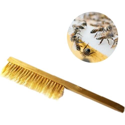 1Pcs Two rows of bristles wooden beekeeping brush apiary safety beehive cleaning tool beekeeper equipment does not harm the bees