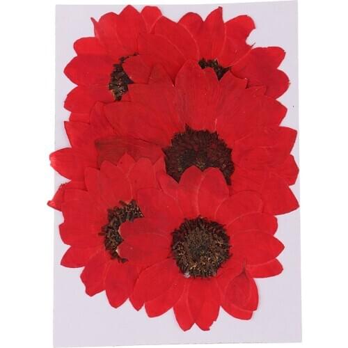 6Pcs 77-2.36 inch Natural Real Pressed Flowers Dried Sunflower for DIY Craft Jewelry Making Handmade Resin Ornaments