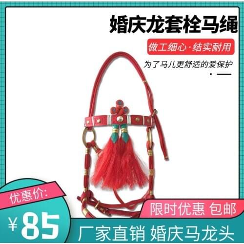 Equestrian Supplies Horse Gear Wedding Supplies Horse Traction Halter Dragon Sleeve Durable Horse Headstall