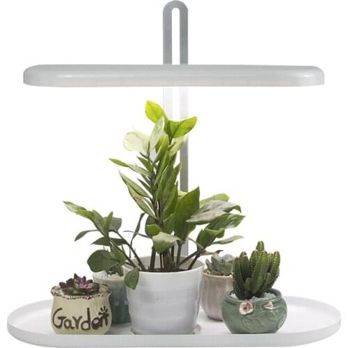 Фитолампы для растений KISS-THE NIGHT China At AliExpress