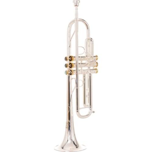 SADSN STR-900S Bb Tune Trumpet Brass Silver Plated Abalone Button B Flat Trumpet Hand in Carving Musical Instrument with Case