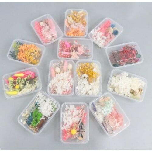 1 Box Dried Flower For Silicone Mould Making Dry Plants Fillings UV Resin Epoxy Casting Mold DIY Handmade Art Home Frame Crafts