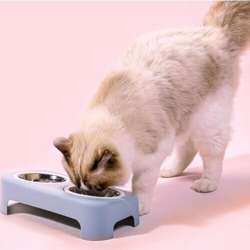 Pet Double Bowl Neck Guard Food Feeder Stainless Steel Cat Bowl Splash-proof Food Plastic Non-slip Pet Dog Bowl Pet Supplies