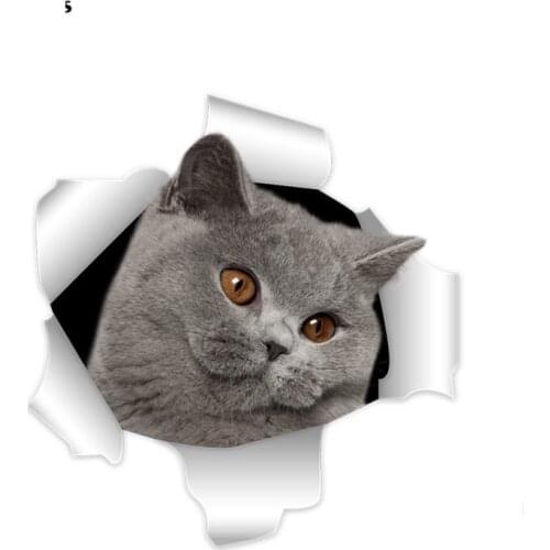 Personality British Shorthair Car Sticker Decals Motorcycle for Golf PVC Car Stickers Decals Waterproof Occlusion Scratch