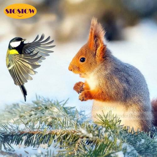 SIOSIOW DIY 5D Diamond Painting Cross Stitch Animals Full Square Diamond Embroidery Squirrel And Bird Rhinestones Art Home Decor
