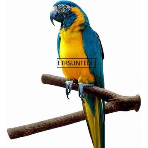 100PCS Pet Parrot Raw Wood Fork Tree Branch Stand Rack Toy Hamster Branch Perches For Bird Cage