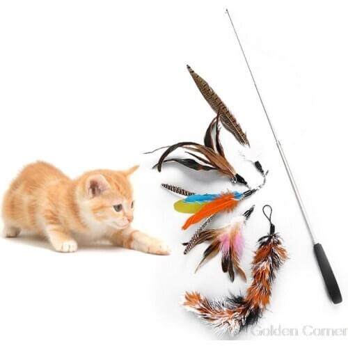 6 Pcs/set Retractable Funny Cat Stick Pet Supplies DIY Replacement Head Pets Teaser Toys Set Kitten Dog Exercise Rod S25 20