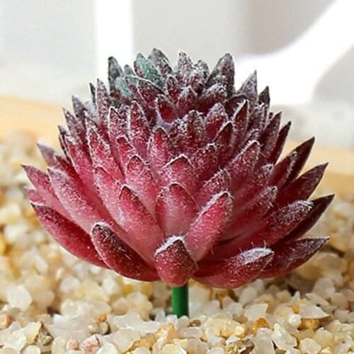 Artificial Succulent Simulation Plants Fake Aloe Cactus Landscape Lotus Flower DIY Faux Flower Creative DIY Accessories