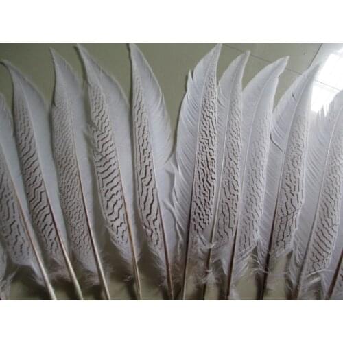 Beautiful 25-30 CM 50 pcs Silver Pheasant Tail Feathers Wedding Decorations lady amherst white silver chicken feathers plume