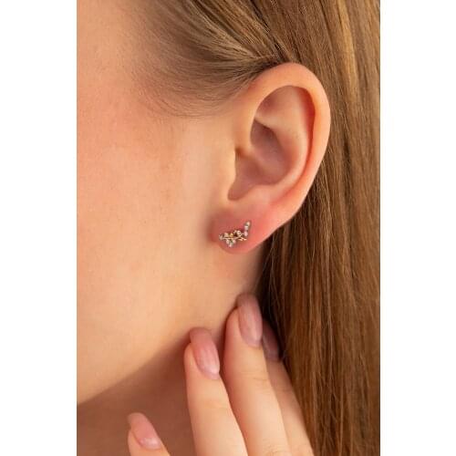 14 carat Gold Wheat Model Women 'S Earrings For Women Extraordinary Earrings Jewelry