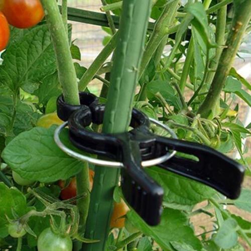 5 Pcs Agriculture Vines Clip Garden Plant Flower Vegetable Bush Clips Grape Tomato Vines Fixing Tools