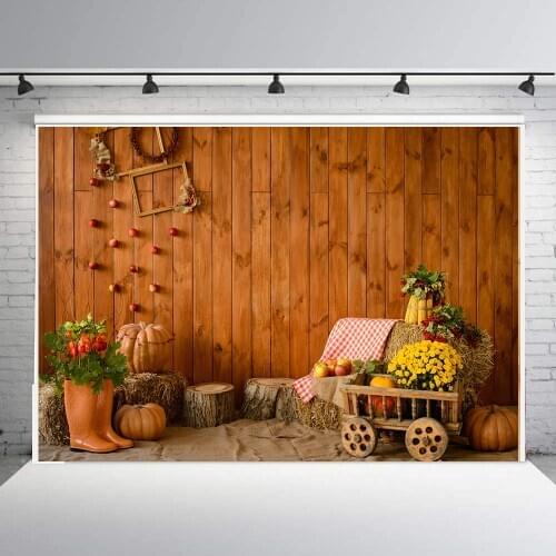 BEIPOTO Autumn interio background photography backdrop for photo studio kids photocall pumkins flowers thanksgiving poster B-920