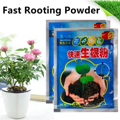 Plant Fast Rooting Powder Bonsai Hormone Growing Germination Seed Growth Recovery Germination Vigor Safe Efficient Rooting Powde