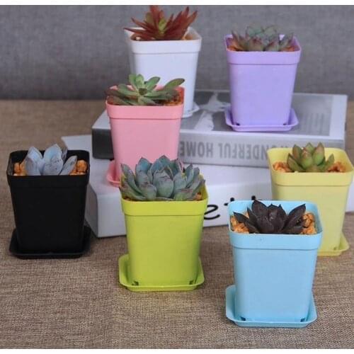 Square Plastic Planter Nursery Garden Desk Home Decor Candy Color 7 Random Colors