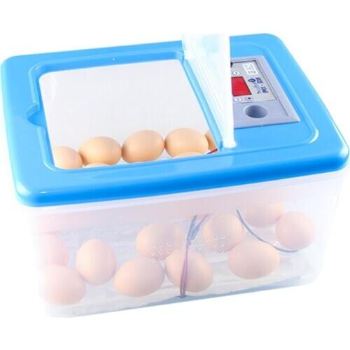 Eggs Electronic Digital Incubator Hatcher Automatic Incubation Chicken Duck And Goose Incubator 12V/220V WJ506