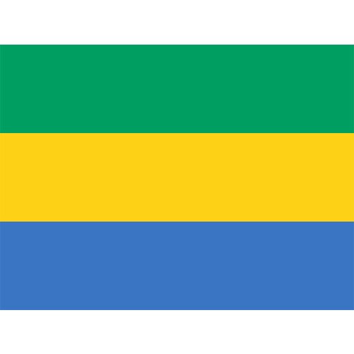 Gabon Flag Yehoy hanging 90*150cm For Decoration
