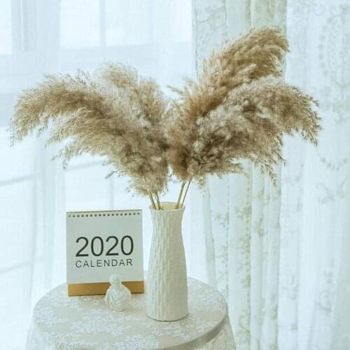 1pcs Pampas Grass Dried Natural Phragmites Flowers Wedding Home Plants Flower Decoration Bouquet Reed Decor Big Christmas U1m4
