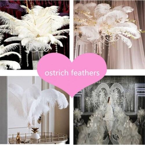 Feathers Decoration 30-35cm Christmas Party Plume Craft 10 Pack Large Ostrich