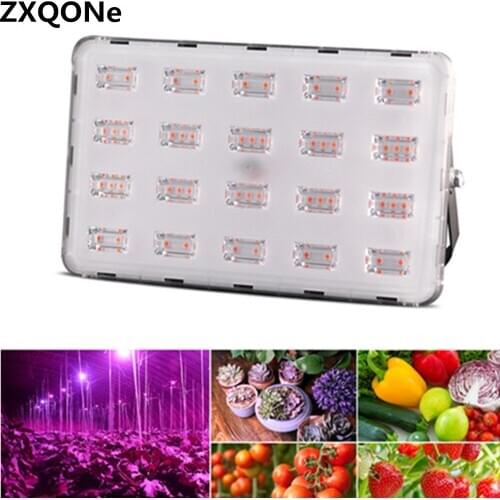 50/100W Led Grow Light Waterproof High Heat Dissipation Mute Grow Lamp Plant Grow For Indoor Grow Tent plant Nursery Bloom Grow