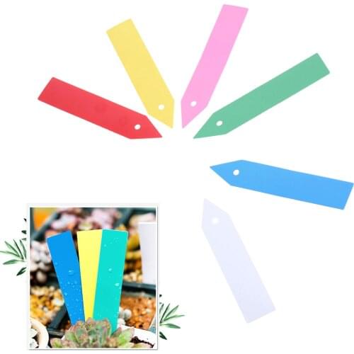 100Pcs Tree Fruits Seedling Garden Flower Pot Plastic Sign Reusable PVC Plants Hole Tag Labels Classification Plants Name Card