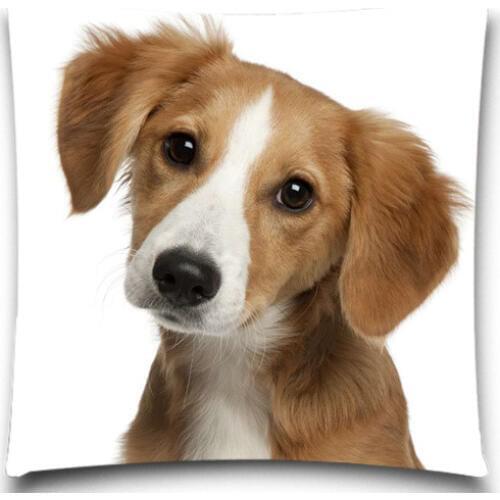 Pillow Case Animal Cushion Cover Dogs Polyester/Cotton sofa chair seat Car Sofa 5 size Cushion Home Decorative Pillow Covers