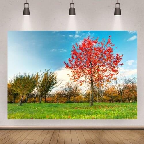Blue Sky Autumn Woods Background Backdrop Beautiful Grass Natural Scenery Vinyl Studio Photo Banner Decoration Props