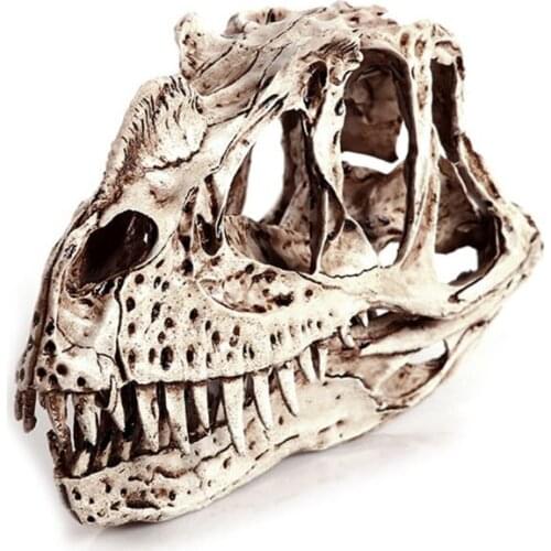 Ceratosaurus Dinosaur Skull Resin Crafts Skeleton Teaching Model Halloween Home Office Decoration