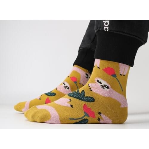 Hot Spring Gifts For The New Year Women Kawaii Mens Socks Autumn Nature Animal Knitted Stockings Soft Funny Summer