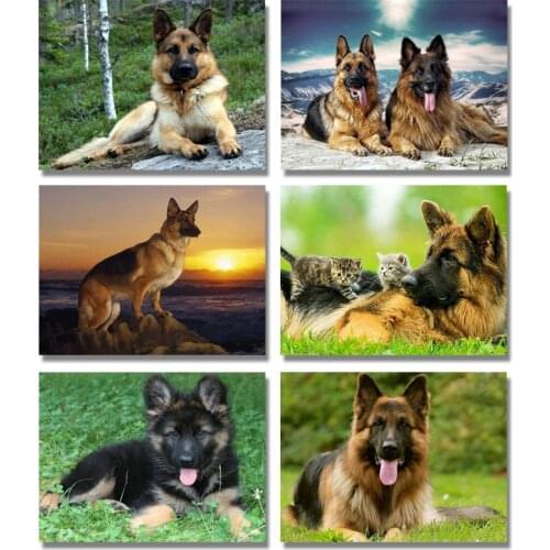 5D DIY Diamond Painting Cross Stitch German Shepherd Diamond Embroidery Dog Diamond Mosaic Pictures Full Round Rhinestones Beads