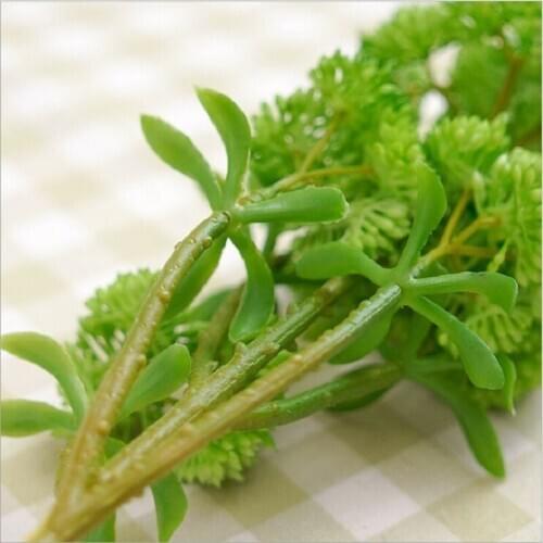 Succulent plants false blossom artificial flower Soft plastic flowers soft feel decorating flowers