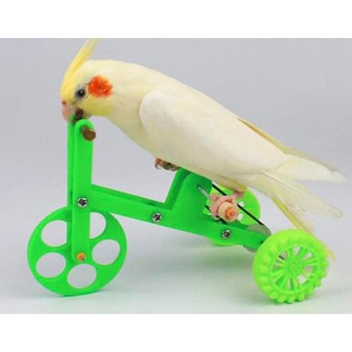 1PC Funny Parrot Toy Bird Interactive Toy Creative Colorful Funny Parrot Bike Toy Bird Training Supplies Parrot Training Props