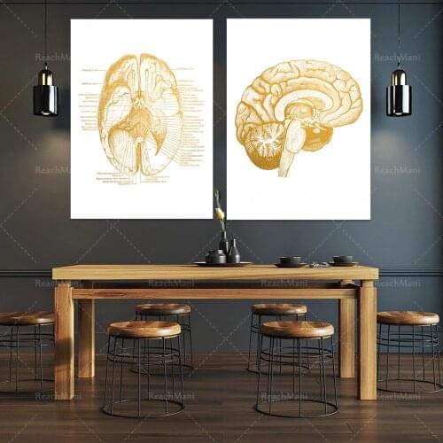 Brain Anatomy Neuroscience Art Print Set 2-Gifts for Medical Students-Office Decoration for Doctors-Anatomy Posters-Posters for