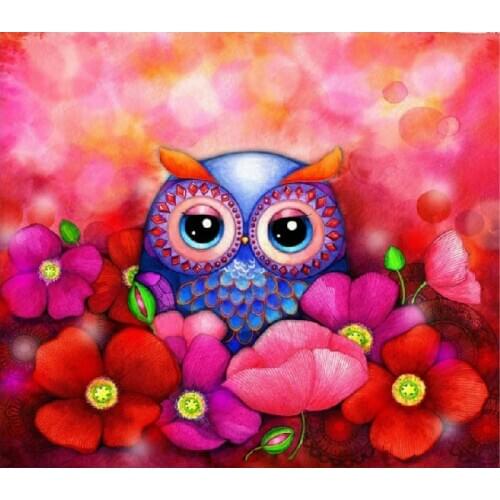 FREE delivery HIGH quality counted cross stitch kit owl in poppy field, funny colorful owl collection