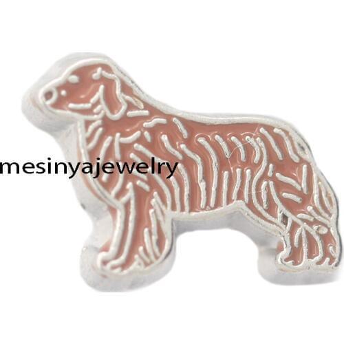 10pcs Dog Pets Custom Floating Charms For Glass Locket