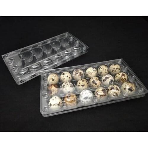 1000pcs/lot 18 Holes 198*41*133cm Quail Eggs Container Plastic Clear Egg Packing Storage Boxes Wholesale Free Shipping