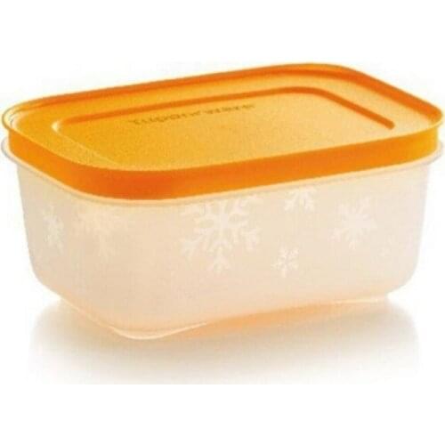 Refrigerator, Deep Freeze Storage Container, Tupperware Alaska Series 450 ml 1 Piece