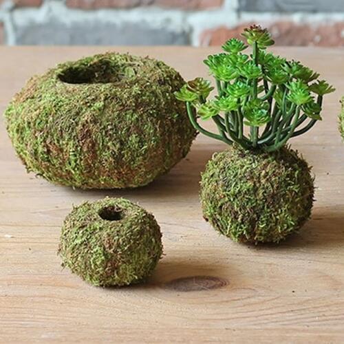 6/9/12/15CM Green Moss Ball Flower Pot Flower Bonsai Pot Holder for Garden Home Decorations Moss Ball Plant Pot