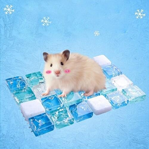 Hamster Pet Cooling Mat Summer Glass Stone Hamster Cooling Bed Chinchilla Cooling Pad Hamster Cage House Bed Rabbit S/M/L/XL