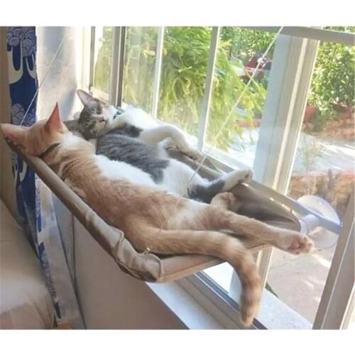 Cat Accessories Pet Cat Hammock Cats Climbing Bed Screw Sucker Type Strong Suction Big Fat Cats Nest Can Be Removed And Washed