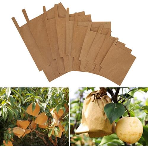 Fruit Protection Bag 100PCS For Vegetable Pulp Paper 50x180cm Reusable Yellow Outside And Black Inside Pouch Against Insect Bird