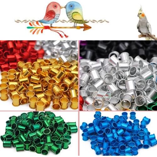 100Pcs Mix Color Pigeon Leg Poultry Dove Bird Parrot Clip Rings Band Foot Ring Pigeon Supplies Bird Appliances no words