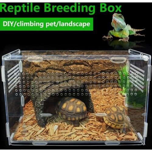 Reptile Tank Insect Spiders Tortoise Lizard Acrylic Transparent Breeding Box Vivarium Lid Reptile Pet Product Terrarium Decor