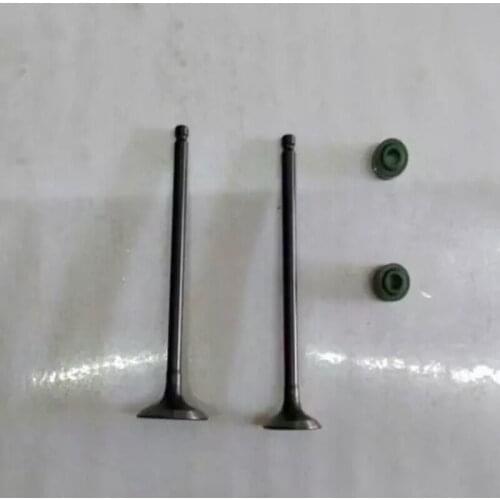 Valves for LETS 4T ADDRESS V50 set sizes 75-4-20 and 74.5-4-16.5 stem seals caps