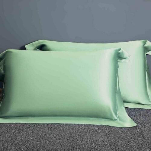 100% Pure Mulberry Silk Pillowcase Solid Color Soft Natural Silk Pillowcase Real Silk Pillowcase Light Green Silk Pillow case