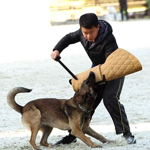 German shepherd dog horse dog Training sleeve dog training supplies dog agility equipment