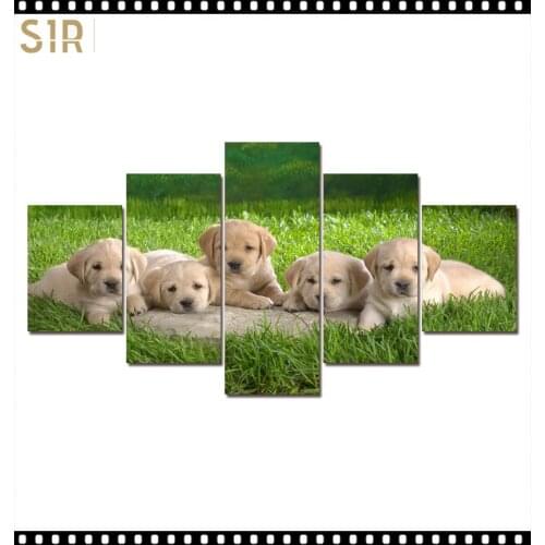 HD 5 Pieces Cute Pet Dog Pictures Posters Wall HD Art Home Decor for Living Room Painting on The Wall Pet Dog Pictures Wall Art