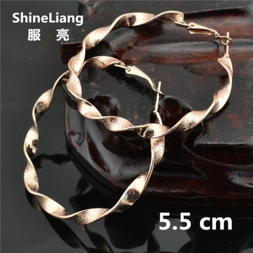 Big Circle Earrings for women Fashion jewelry brand alloy rose gold sliver round youth students girls Mme de boucles d'oreilles