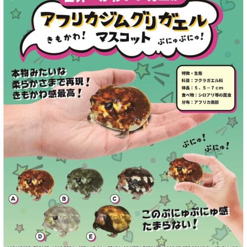 Japan Toys Spirits Gashapon Capsule Toys Animal Model Reptiles Table Ornaments Decoration Aspide Simulation Frog