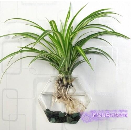 Hexagon Wall Vase Christmas Wall Terrarium Glass Flower Vase Wall Sphere Tabletop Vases Home Decoration Hexagon Transparent