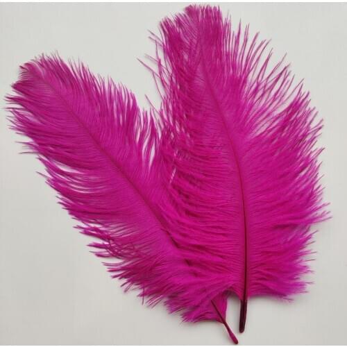 Wholesale 10pcs Beautiful Rose High Quality 6-8 inches/15-20cm Ostrich Feather For Wedding Decoration Handmade